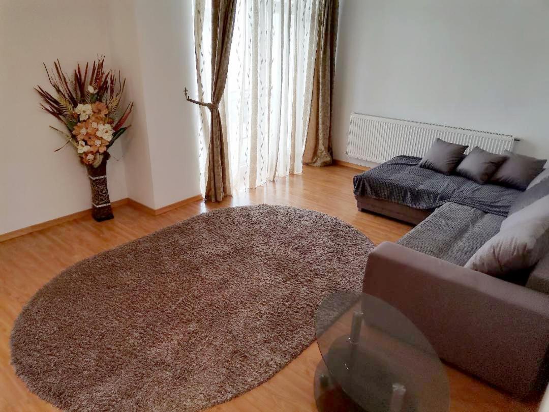 Apartament Selimbar 锡比乌 外观 照片