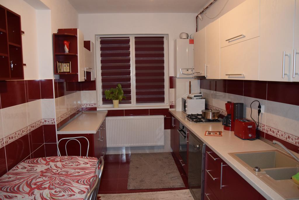 Apartament Selimbar 锡比乌 外观 照片